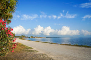 Dunedin Causeway connected to Honeymoon Island © Junko Barker | Dreamstime.com