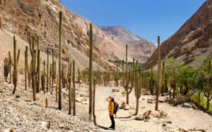 Tourist in the Peruvian high Andes © Rafał Cichawa | Dreamstime.com