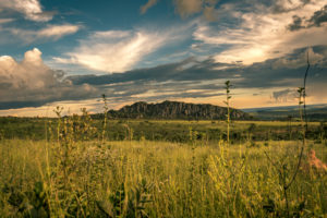 The Cerrado Savanna Parque Dos Pireneus in Goias, Brazil © Augusto Miranda Martins | Dreamstime.com