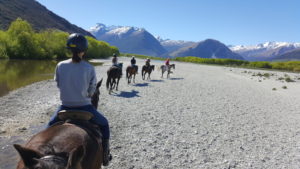 Women riding horses in New Zealand.