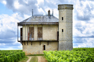 Chateau with vineyards, Burgundy, France