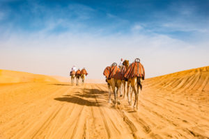 Deserts of Abu Dhabi