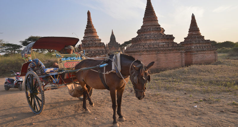 Pagoda Festival