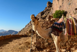 Sinai, Mount Moses, Egypt.