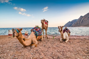 Red Sea Riviera in Egypt.