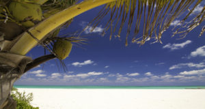 Tropical Serenity - Isla Pasion Cozumel Mexico