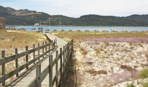 Wooden walk way over sand dune giving access to the beach of Troia, Portugal