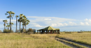 Tented Camp in Botswana