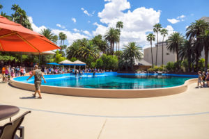 Secret Garden and Dolphin Habitat at the Mirage Hotel and Casino