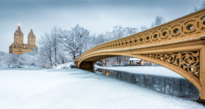 Scenic spots in New York's Central Park