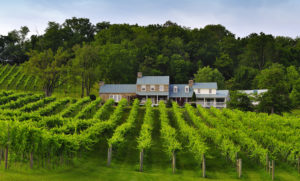 Winery, Virginia