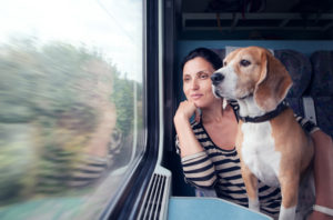 Pet on Train