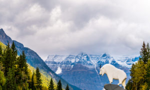 Mount Robson Provincial Park