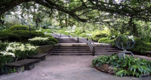 Singapore Botanic Gardens, Singapore