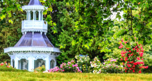 Bois de Boulogne park in Paris