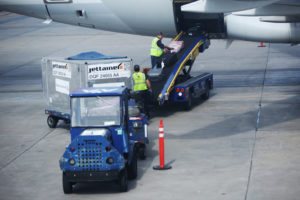 American Airlines baggage handlers loading plane © Zhukovsky | Dreamstime.com