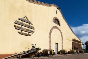 Wine Tasting in Mendoza, Argentina