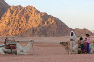 Camel Ride Through Desert