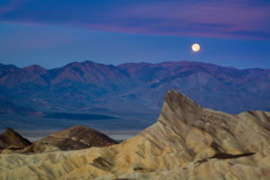 Death Valley National Park. Mosaic, mesquite