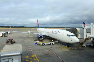 Delta Air Line