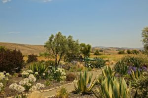 Lompoc California Winery Landscape