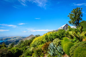 Castle, Dunedin, New Zealand