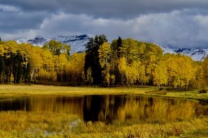 Autumn in Dibé Nitsaa, Mount Hesperus, San Juans, Colorado