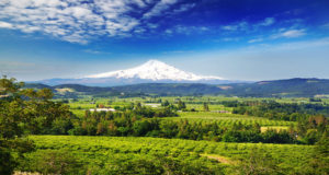 Mount hood and hood river valley