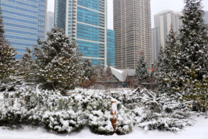 Snowy day in Chicago.