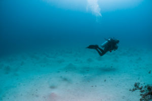 Scuba diver