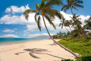 maui hawaii beach