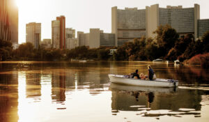 Vienna boat