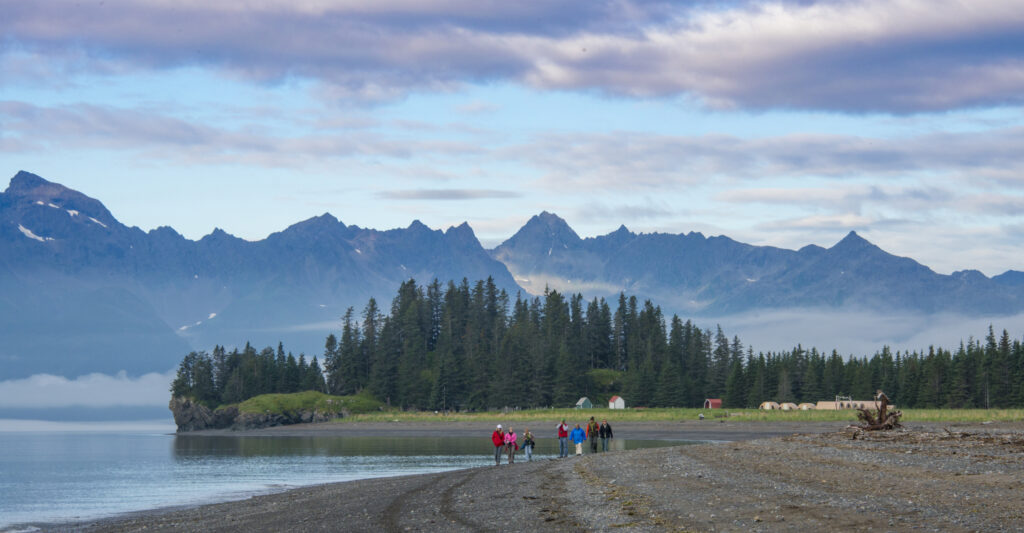 Alaska Bear Camp