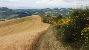 Saint Anthony pilgrimage