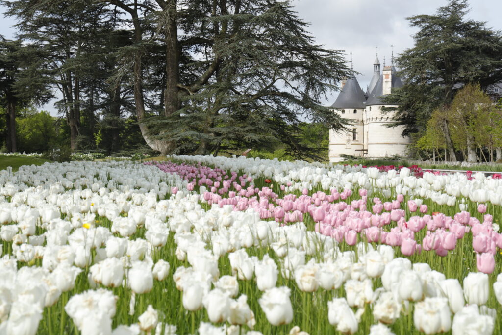 Chaumont