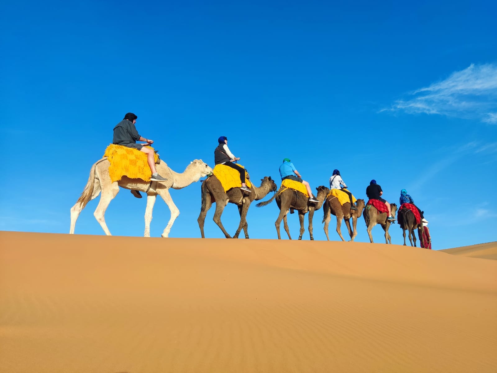 Odysseys camel tour Global Traveler