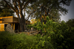 Vumbura Wilderness Camp