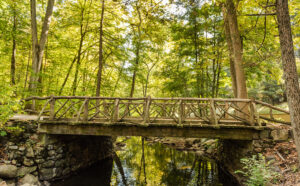 Headless Horseman Bridge