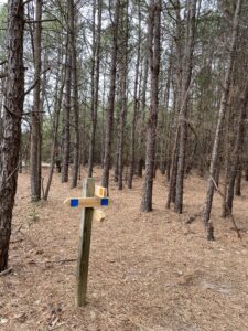 Maurice River Bluffs Preserve