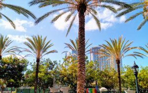 San Diego's New Children's Museum