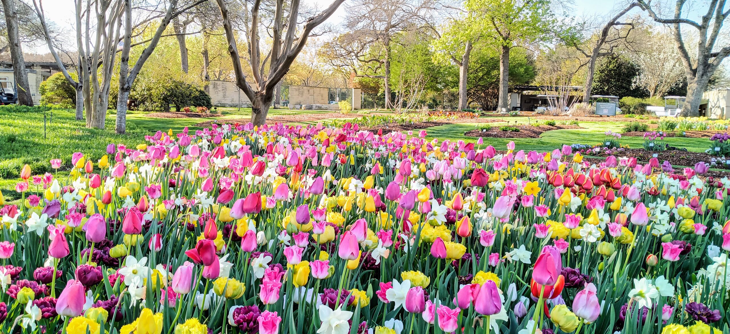 Dallas Blooms at the Arboretum Global Traveler