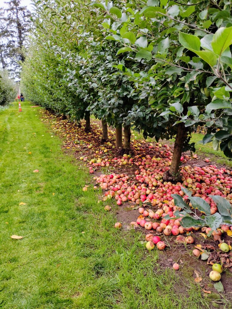 Beilke Family Farm