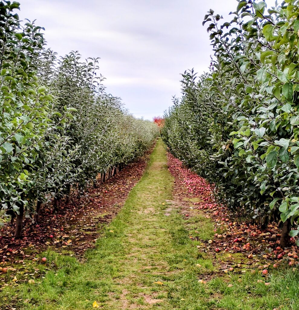 Beilke Family Farm