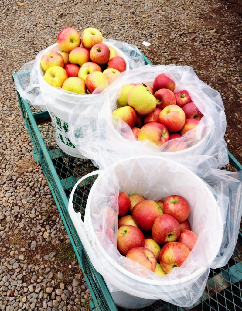 Beilke Family Farm