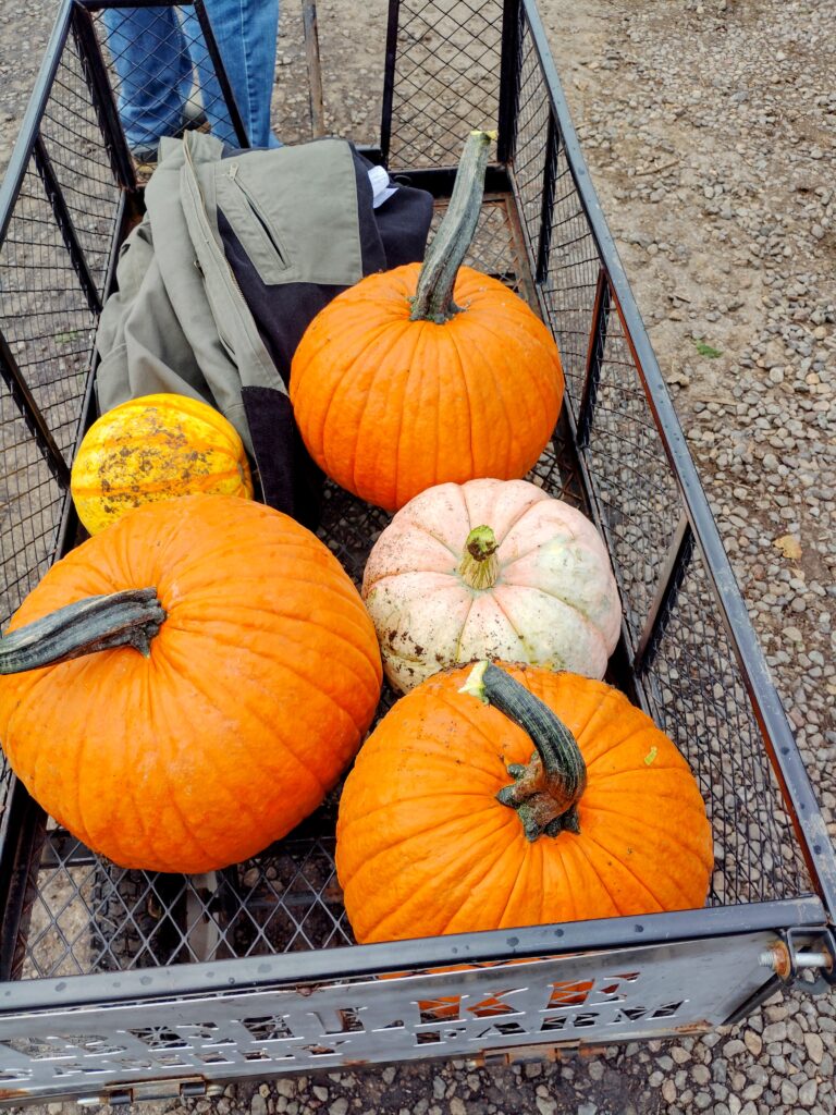 Beilke Family Farm