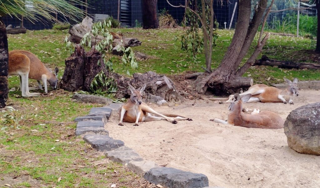 Sydney, Australia