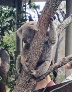 Sydney, Australia