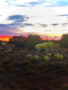 Glamping in Arizona, Camp Prado