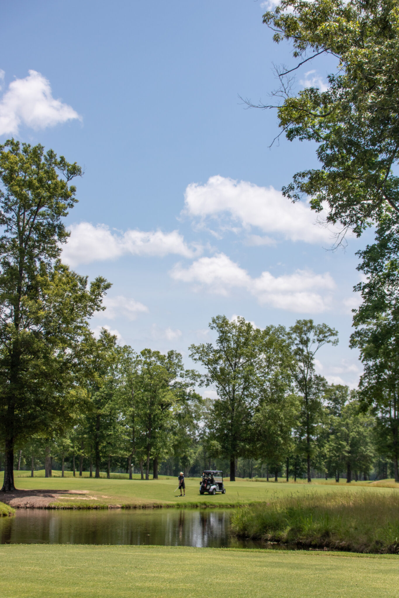 Top Golf Courses to Visit in Mississippi