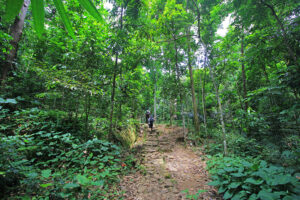 Ujung Kulon National Park